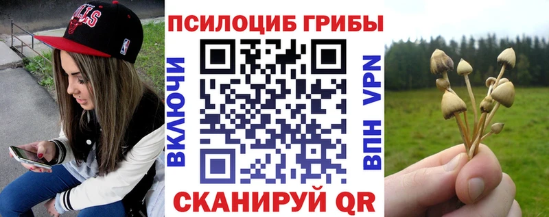 Галлюциногенные грибы Psilocybe  Купить где  Дюртюли 